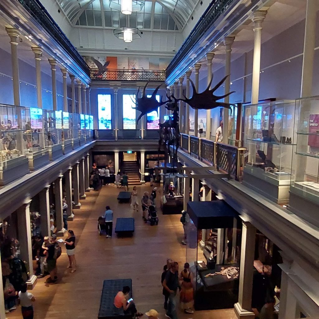 Sydney itinerary: Interior view of the Australian Museum in Sydney with visitors exploring exhibits and a large skeleton display hanging above the central hall.