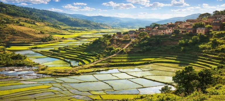 Sunlit rice terraces and hillside village in Madagascar’s Central Highlands under a bright blue sky