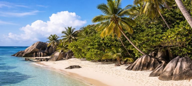Palm-lined beach with granite boulders in Fort Dauphin, Madagascar, featuring white sand and clear turquoise coastal waters