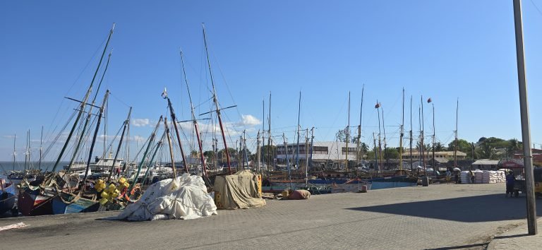 Majunga (Mahajanga) harbour with traditional fishing boats moored along the waterfront under a bright blue sky.