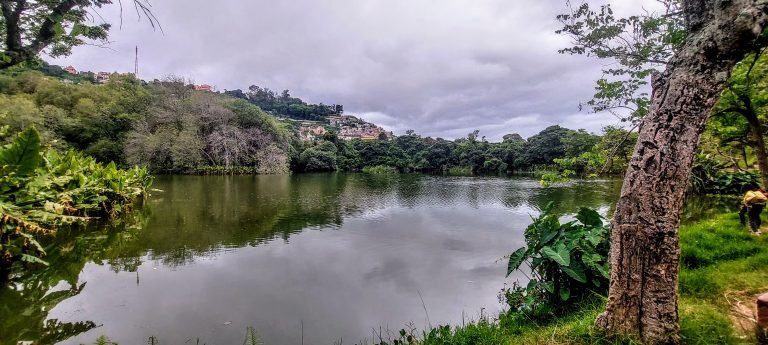 Lake Tsimbazaza in Antananarivo surrounded by dense greenery and hillside neighbourhoods