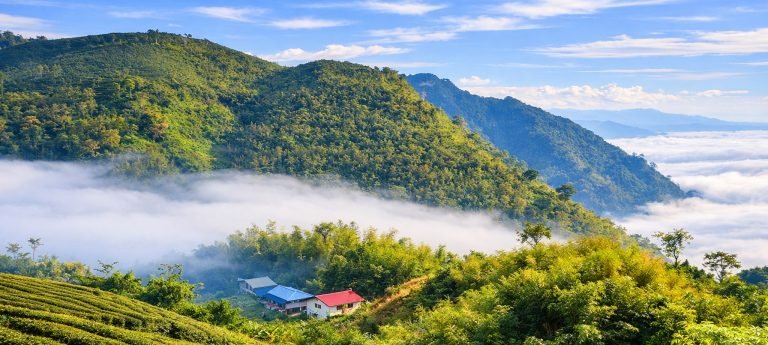 Mountain village and tea fields in Alishan surrounded by forested hills and drifting clouds