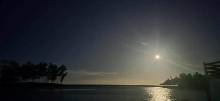 Moonlit coastal sunset in Manakara, Madagascar with silhouetted trees and calm waters.