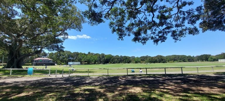 Getting around Sydney - People relaxing and walking in a large green park in Sydney, with open fields, trees, and shaded walking paths.