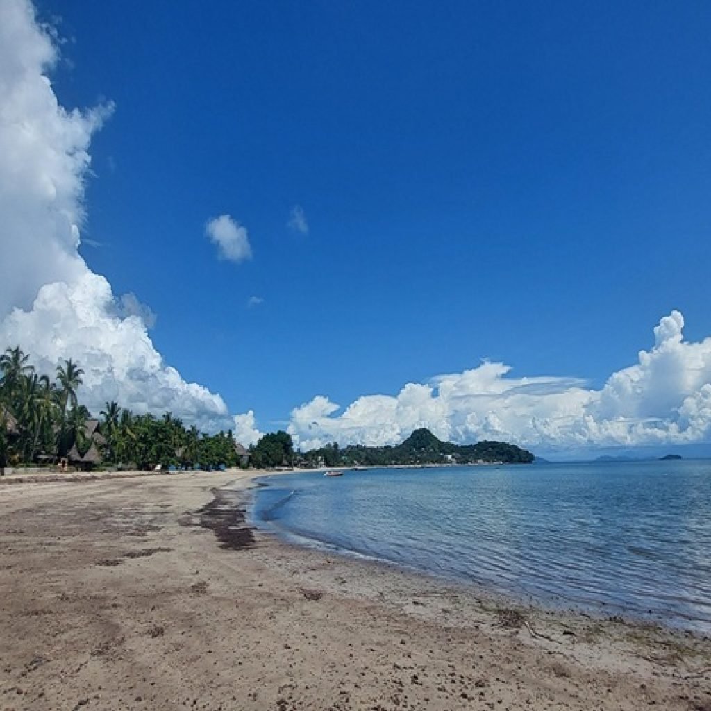 Best time to visit Madagascar - Beach scenery with clear skies and calm ocean on the tropical coast