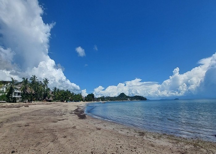 Best time to visit Madagascar - Beach scenery with clear skies and calm ocean on the tropical coast