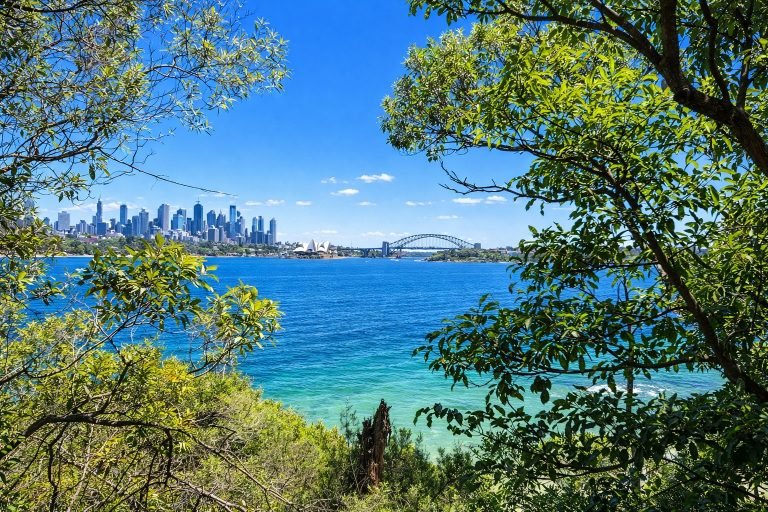 Sydney Harbour walks - Viewpoint framed by trees overlooking Opera House, Harbour Bridge, and skyline