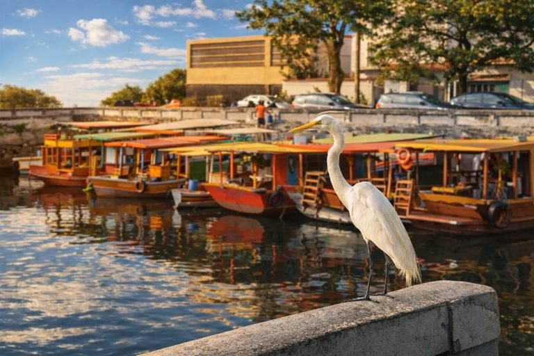 Best areas to stay in Rio de Janeiro – egret by the canal with colorful boats in a local neighborhood