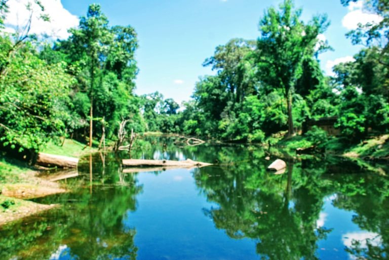 Things to do in Cambodia: tranquil jungle pool in Siem Reap with clear water, lush greenery, and reflections