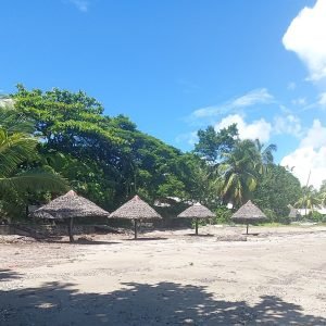 Madagascar visa guide travel scene with tropical beach, palm trees and shaded huts in Madagascar