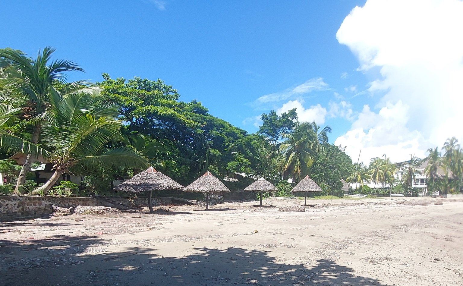 Madagascar visa guide travel scene with tropical beach, palm trees and shaded huts in Madagascar