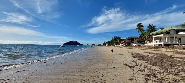 Madirokely Beach on Nosy Be Madagascar with palm trees and beachfront buildings