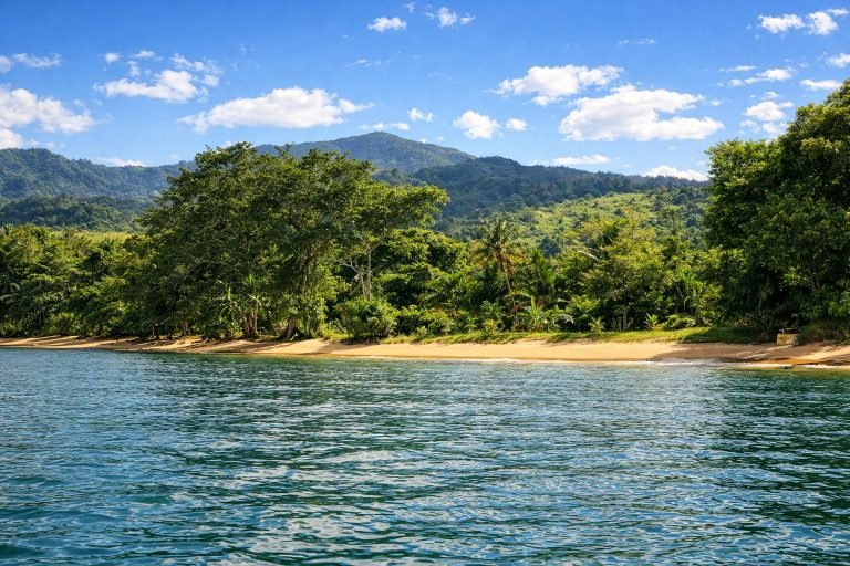tropical beach in Madagascar with clear water palm trees and forested mountains under blue sky 📸 Caption 📖 Description
