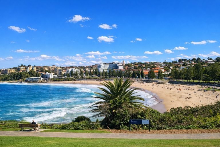 Sydney Harbour walks coastal viewpoint overlooking beach, ocean, and skyline on a sunny day