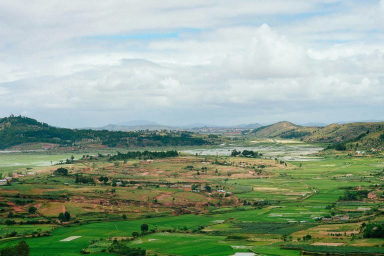 Madagascar central highlands rice fields landscape