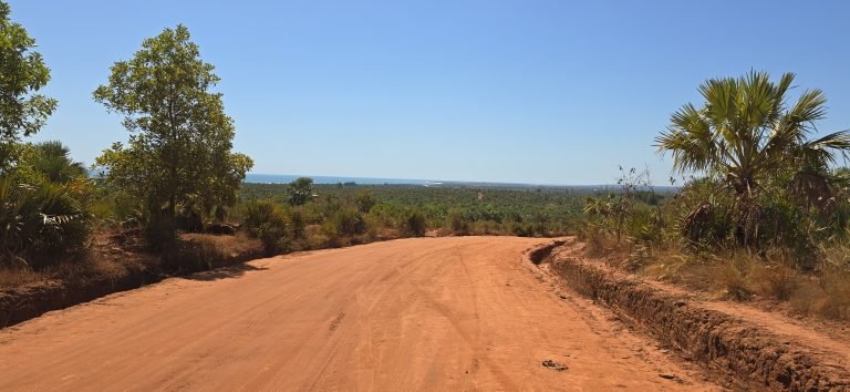 Red dirt road through rural landscape in Madagascar with palm trees and dry savannah vegetation