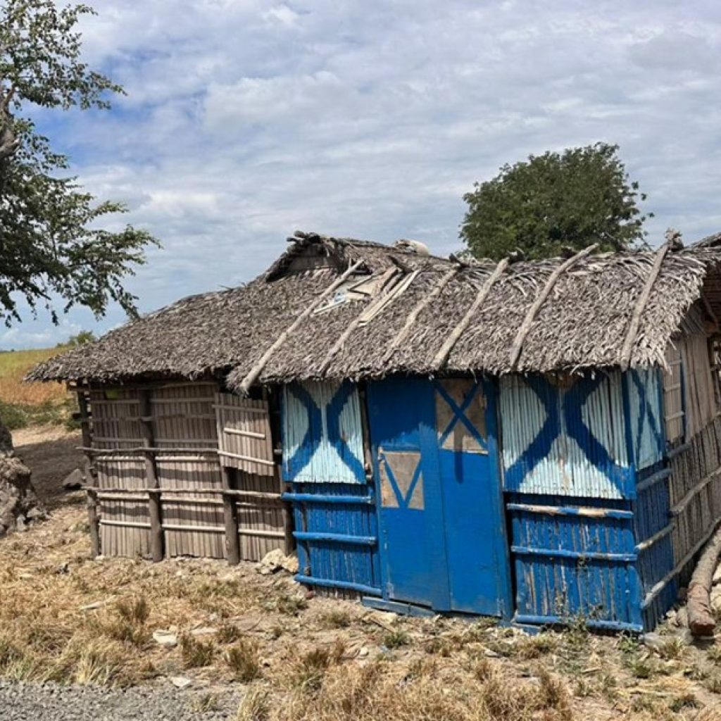 Traditional wooden house with thatched roof in rural Madagascar village landscape