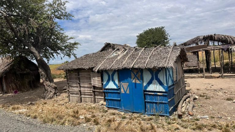 Traditional wooden house with thatched roof in rural Madagascar village landscape