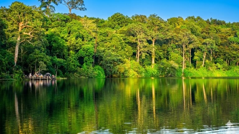 lush green forest reflected in calm lake water in ratanakiri cambodia