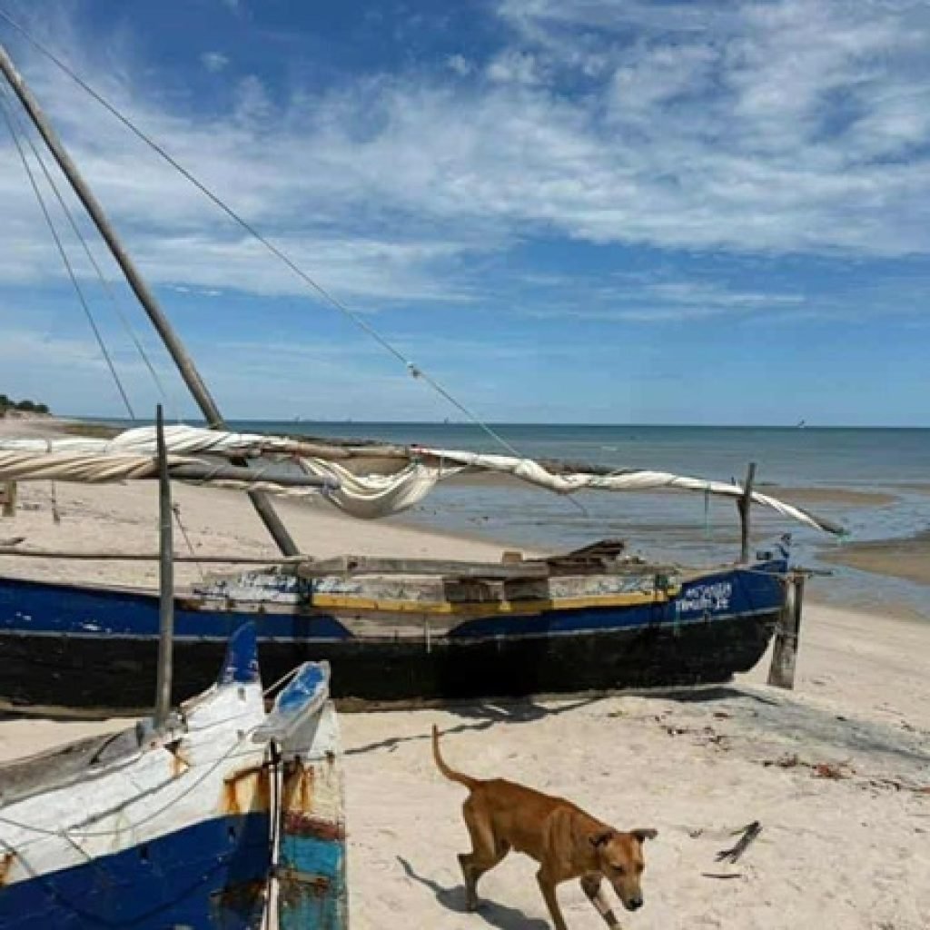 Madagascar travel expectations - Coastal fishing boats on remote beach