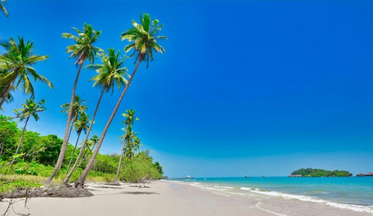 Palm trees leaning over a white sandy beach on Koh Rong Island, Cambodia, with turquoise water and a clear blue tropical sky.