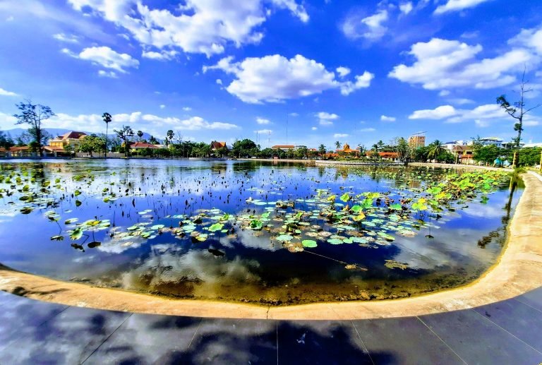 Things to do in Kampot Cambodia - Lotus lake with reflections blue sky and peaceful surroundings