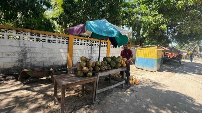 Madagascar travel expectations local coconut vendor roadside market ✅ Caption ✅ Description