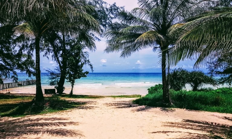 onely beach on Koh Rong samloem with palm trees, soft sand, and turquoise water in a quiet tropical setting Caption: Description: