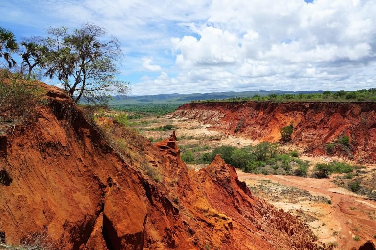 madagascar red tsingy canyon eroded landscape unique geological formations Caption: Description: