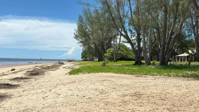 Madagascar travel expectations quiet coastal beach with tropical trees ✅ Caption ✅ Description