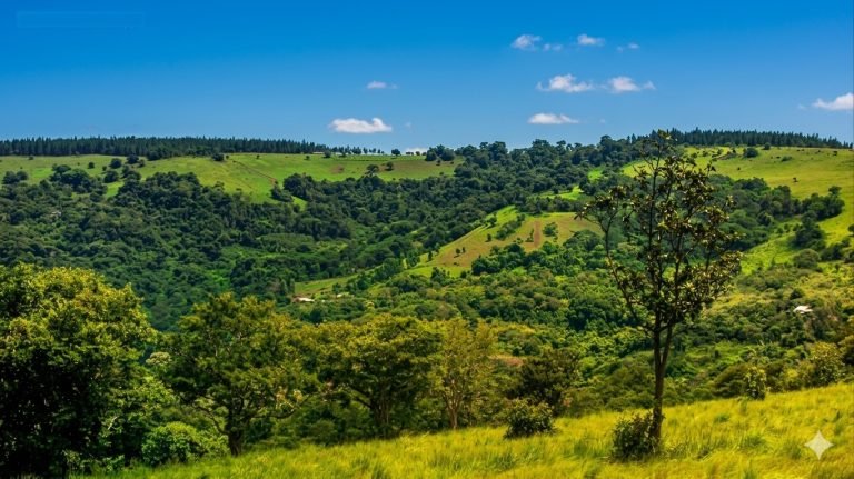 green rolling hills and forest landscape in mondulkiri cambodia under clear blue sky 📝 Caption 📖 Description