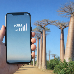 SIM vs eSIM in madagascar - Traveler holding smartphone with esim signal on avenue of the baobabs