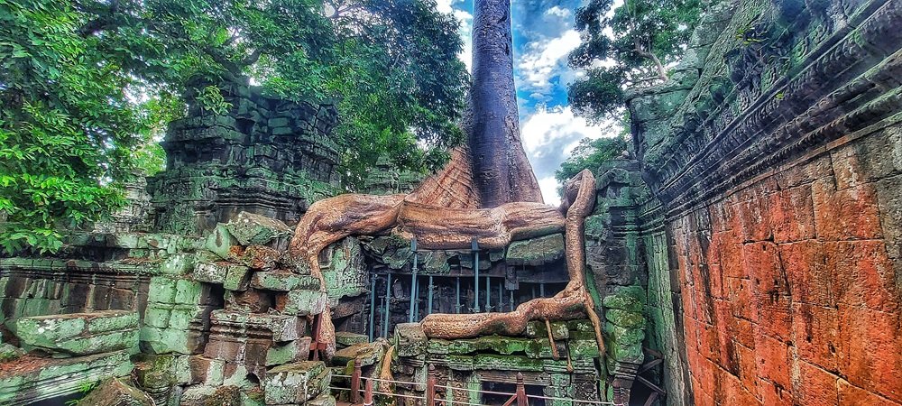 where to stay in cambodia angkor temple jungle roots siem reap ta prohm ruins