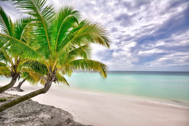 Koh Rong beach with white sand, leaning palm trees, and calm turquoise water under cloudy skies
