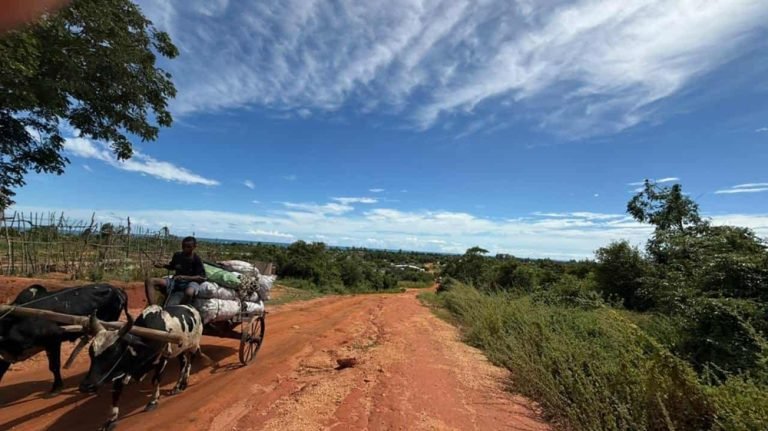 Madagascar travel expectations - Rural road with zebu cart and countryside landscape