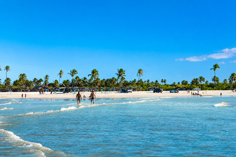Beach scene in Jericoacoara featured in this Northeast Brazil travel guide with shallow tropical waters and palm trees Caption: Description: