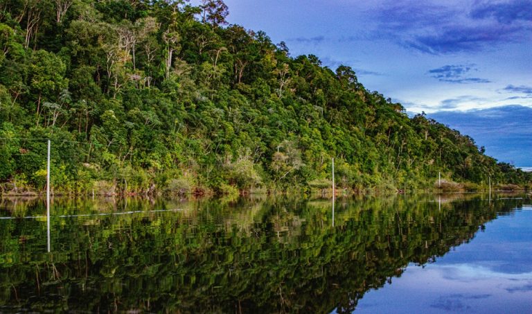 Amazon river reflections surrounded by jungle in an Amazon Rainforest Brazil Guide near Manaus Caption: Description: