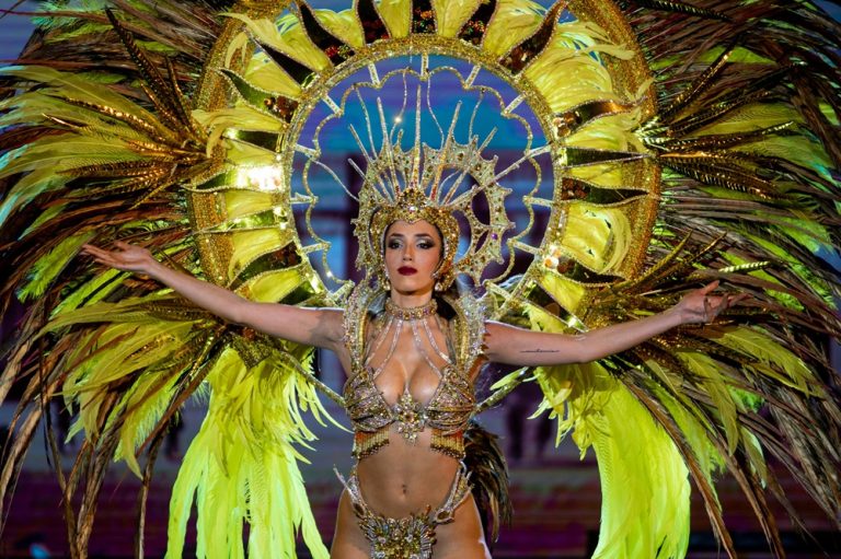 Brazil Carnival performer wearing an elaborate feathered costume during a Rio de Janeiro samba school parade