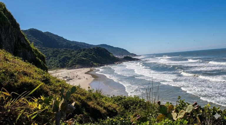 Scenic coastline and beaches near Barra showing where to stay in Salvador, Brazil