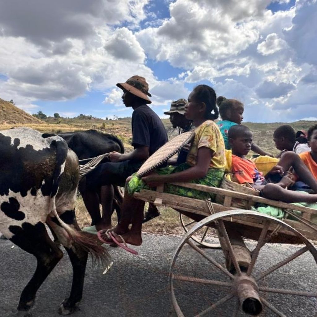 Famille voyageant en charrette tirée par des zébus dans les Hautes Terres lors d’un itinéraire Madagascar