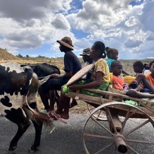 Famille voyageant en charrette tirée par des zébus dans les Hautes Terres lors d’un itinéraire Madagascar