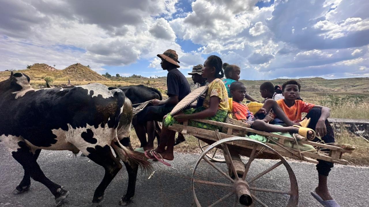 Famille voyageant en charrette tirée par des zébus dans les Hautes Terres lors d’un itinéraire Madagascar