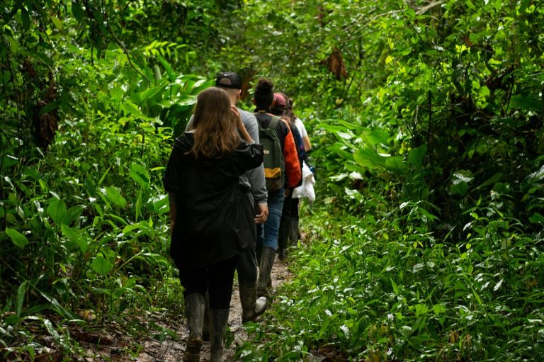 Travelers hiking through jungle trails in an Amazon Rainforest Brazil Guide adventure near Manaus Caption: Description: