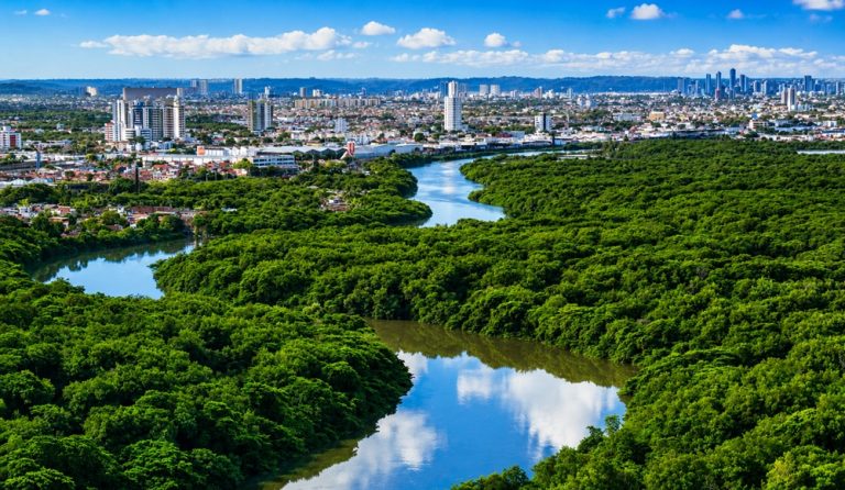 Aerial view of Recife mangroves and skyline featured in this Northeast Brazil travel guide