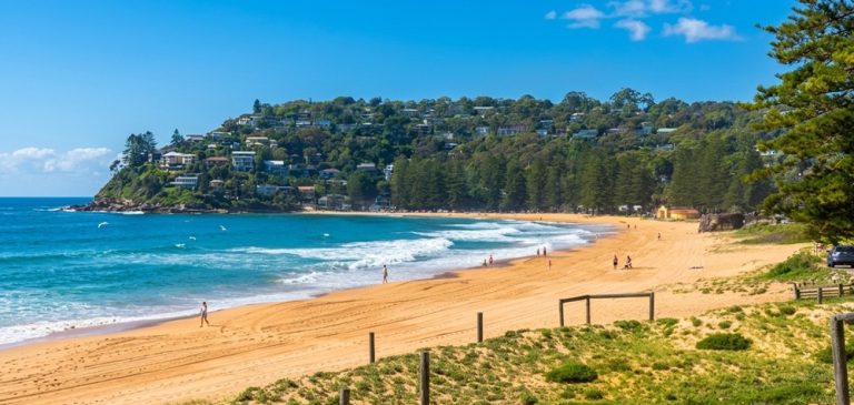 Scenic coastline and golden sand at Palm Beach, one of the most beautiful beaches in Sydney Caption: Description:
