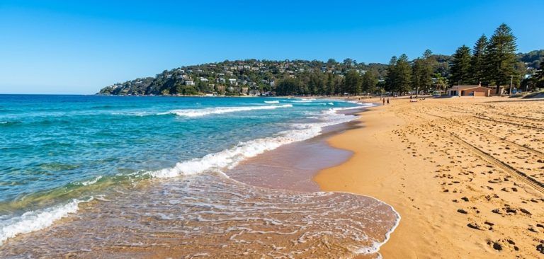 Golden shoreline and turquoise water at Palm Beach, one of the most scenic beaches in Sydney Caption: Description: