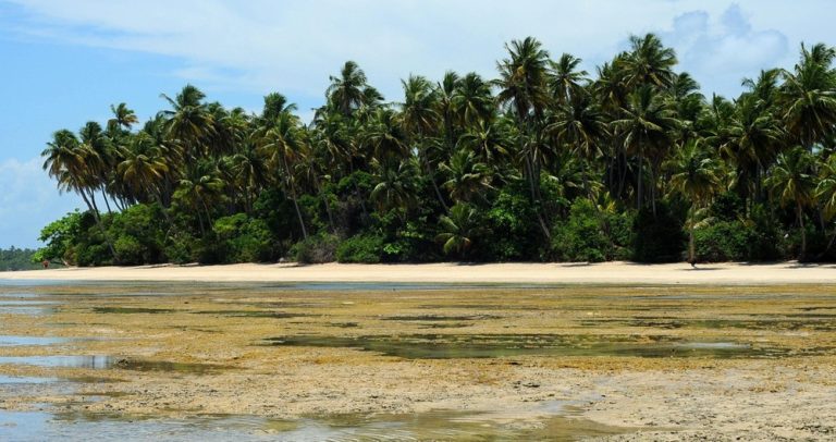 Palm-lined beach on Boipeba Island, one of the best islands in Brazil for quiet beaches and relaxation