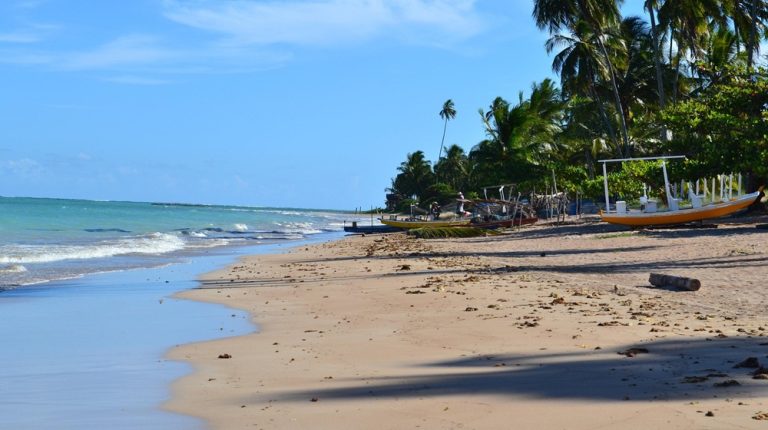 Palm-lined tropical beach highlighting the natural beauty of the best islands in Brazil Caption Description