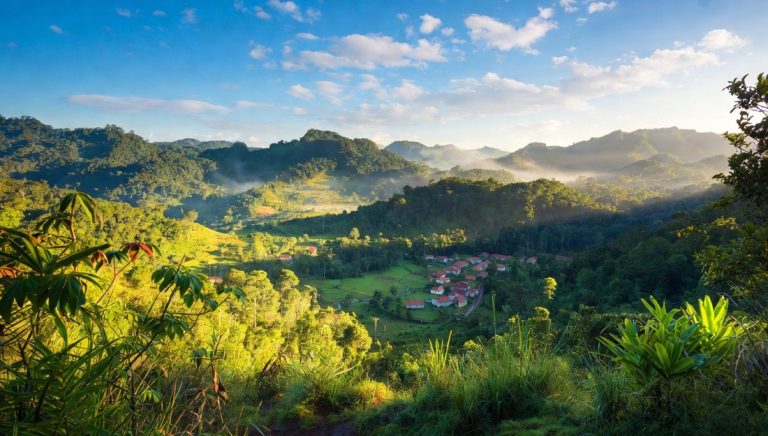 Paysage de forêt tropicale à Andasibe près d’Antananarivo avec collines verdoyantes et brume Caption: Description: