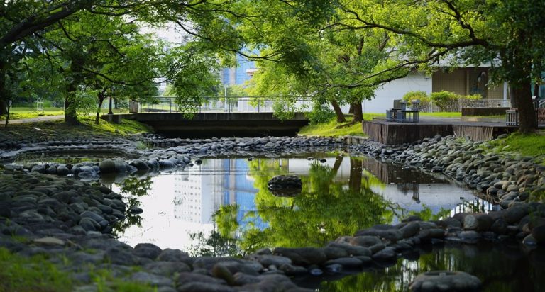 Peaceful riverside park with trees and stone pathways in Taipei